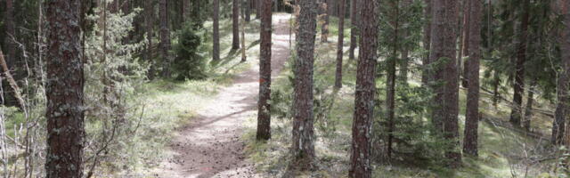 Palivere mets kohaliku kaitse alla