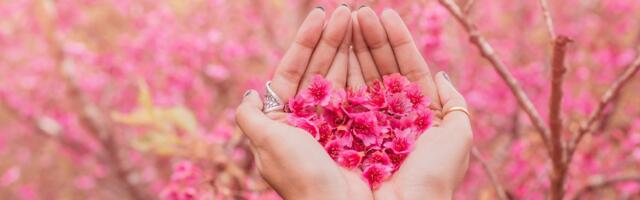 Asteroid Amor näitab, milline on sinu ideaalne armastus