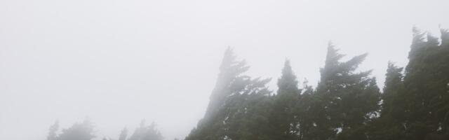 Keskkonnaagentuur: Lähipäevil puhub tugev tuul ja sajab vihma