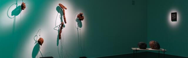 Kui kohtuvad kunst ja teadus