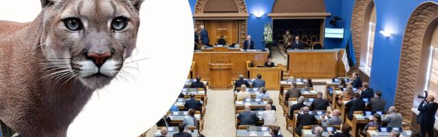 Puumajaht jõudis parlamenti: „Ühest küljest on ju tore ja romantiline: näe, meil on siin ilvese kõrval veel ka keegi puuma.“