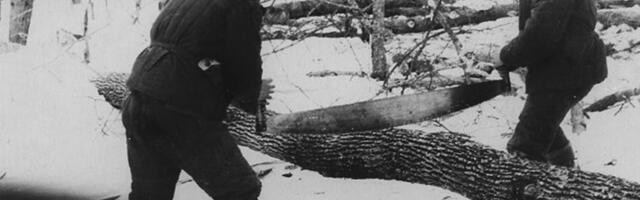 „Selle eesmärk on inimesi lömastada.“ Kurikuulus Mordva Gulag on Putini ajal ärganud uuele elule