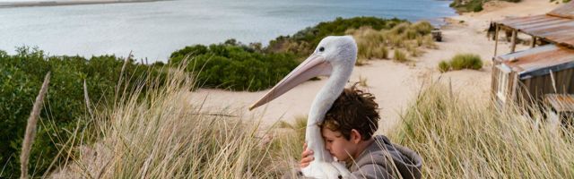 Kuhu minna, mida teha? Edasi kultuurisoovitusi – august