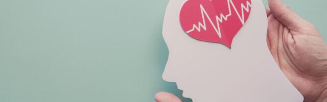 Euroopa Insuldiorganisatsioon andis kliinikumile kõrgeima tunnustuse