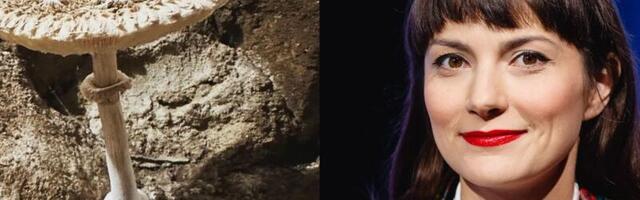 Kui mugav! Züleyxa Izmailova käis keldris seenel