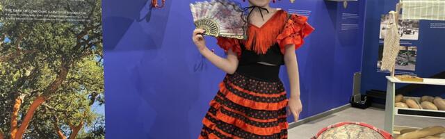 Mänguasjamuuseum avab käed-külge näituse "Euroopa mängib"!