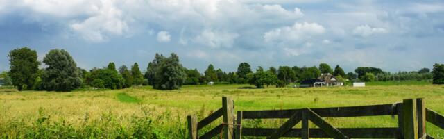 Päevahoroskoop : teisipäev, 29. juuli