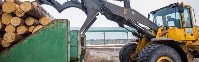 Hinnalangus lõikas jupi Saaremaa puidufirma tulemusest