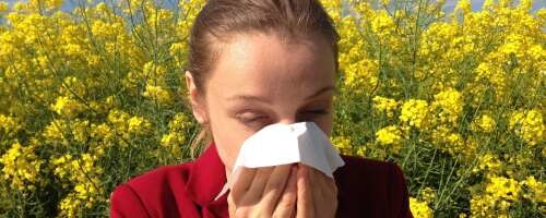 Kevad ja allergia