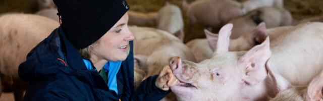 Seakasvatajad lõid sügavallapanu edendamiseks koostöövõrgustiku