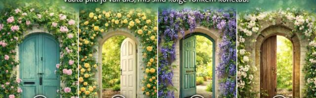 Vali üks kevadine uks – milline uus võimalus sinu ellu avaneb?