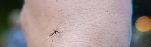 Sääsed kui vaktsineerimise vahend_ Hiina teadlased pakkusid välja ootamatu meetodi