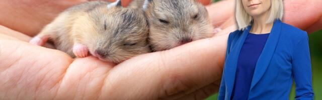 Kerttu Jänese: kahe lapse emana tunnen end Eesti iibearutelu taustal, nagu peaksin kodus hamstreid