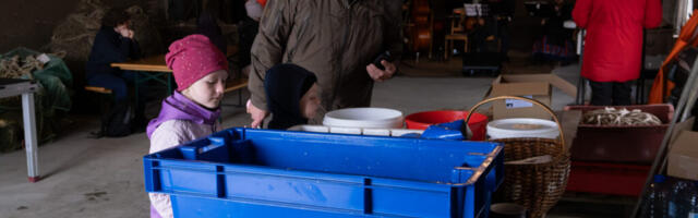 GALERII | Kakri kalasadamas jagus tegevust kogu perele