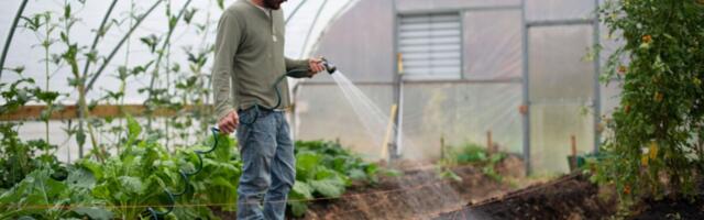 Vabade ametikohtade määr oli II kvartalis madalaim põllumajanduses