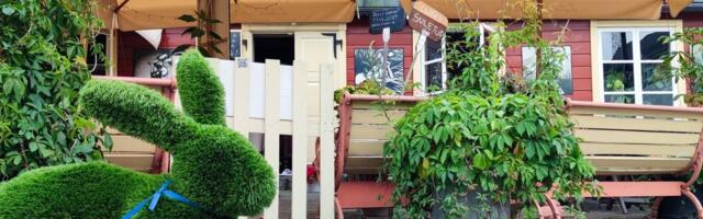 Aasta Haapsalu murujänese kurikuulsast reisist Soome: „Sel aastal teda ei varastatudki ära!“