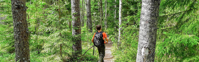 RMK kutsub: tule loodusesse, riigimets ootab 