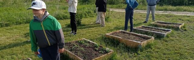 Taeblas saab aiamaad rentida