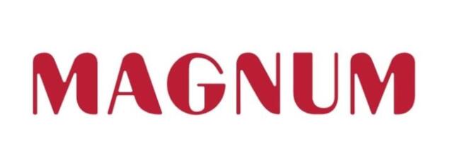 Ravimikontserni Magnum AS kahjum jäi püsima, käive kasvas