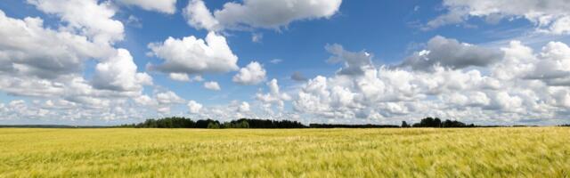 Konverentsil “Agronoomia 2026” otsitakse vastuseid, kuidas tagada kestlik põllumajandus