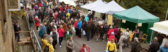 ÜLEVAADE | Lõbusad üritused ja sügislaadad, kuhu sel nädalavahetusel minna tasub