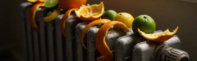 Tsitruseliste koored radiaatoril – vana nipp, mille tulemus üllatab