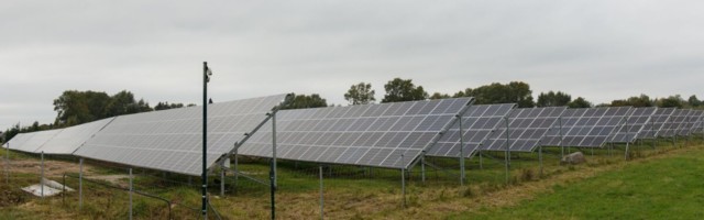 Päikesepargid andsid Elektrilevi võrku rekordilise võimsuse