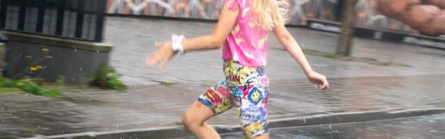 Ilmateadlane: üks suvi on möödas, kaks kestavad, üks on ootel…