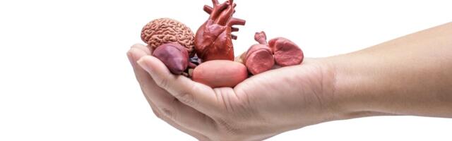 Sotsiaalministeerium: praegust elundidoonorite tahteavalduse süsteemi pole vaja muuta