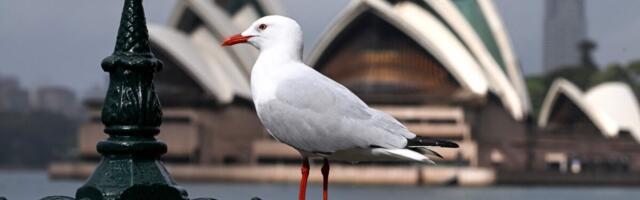 Kuhu kibelevad talendid? Eesti rühib tabelis aina ettepoole