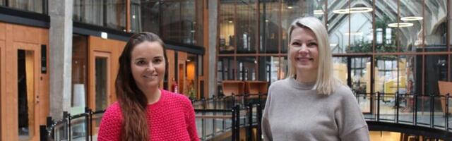 "Nii võiks taimetoitlaseks hakata." Ürituste toidulaual pole veiselihal kohta