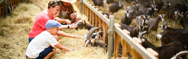 Turism Eesti idapiiril saab uut hoogu
