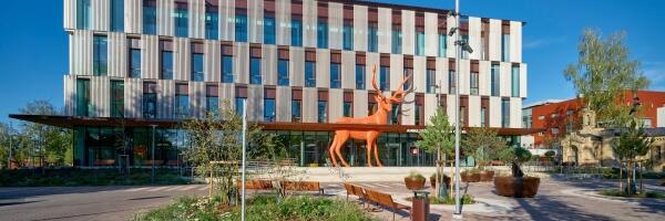 В Детской больнице откроются обновленные помещения Центра спортивной медицины