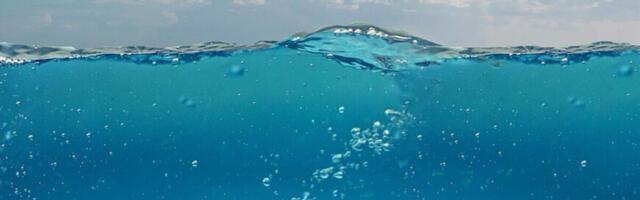 Tartu Ülikool osaleb üle-euroopalise vee, mereelustiku ja merendussektori innovatsioonikogukonna loomisel