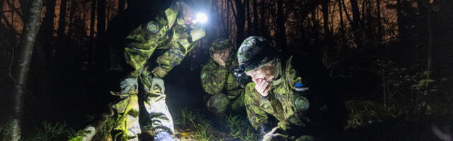 Kodanikud riigikaitses: Balti riikide vabatahtlikud kaitseorganisatsioonid