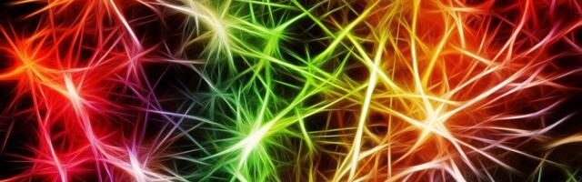 Neurotagasiside on ettevõtjate uusim vaimse tervise nipp