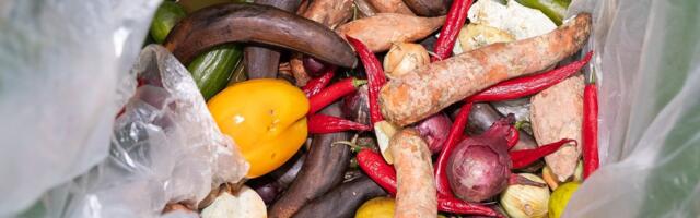 Mari-Vivian Ellam: Tapa kaitseväes visatakse ära suures koguses korralikku toitu. See on julgeolekuoht