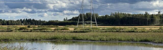 Põllumeestel jääb seljataha erakordselt keeruline suvi. "Kui põllu peal luik ujub, ei tasu sinna kombainiga minna"