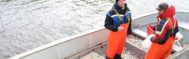Pärnu kalurite püügivahendite arvu ei vähendata