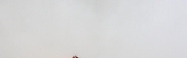 Iraanlaste igivana lennuk jättis Kuveidis Ameerika sõjaväe häbisse. Kuidas see tal õnnestus?