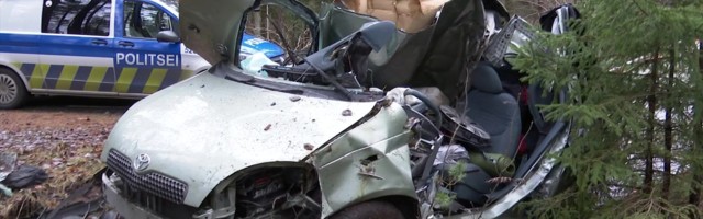 Reporter: Pärnumaal vastu puud sõitnud 48-aastane mees suri