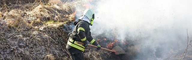 Jõgevamaal hukkus kulupõlengus mees