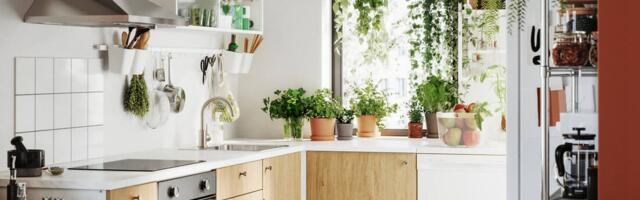 5 nippi, kuidas istikud kodus paremini mõjuma panna