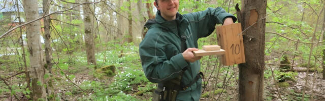 Marko Mägi: oleme liialt järele andmas ameerikalikule halvustavale suhtumisele keskkonda