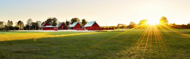 Maaelu eelistavad pered saavad ka uuel aastal MES-i eluaseme kaaslaenu kasutada