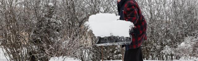 ILMATEADE | Järgnevad päevad toovad tugevat tuult ja korralikku lumelisa