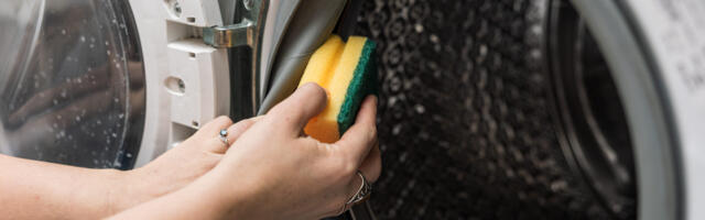 Ekspert hoiatab: Kui kodumasinaid õigesti ei puhastata, lakkavad need varsti töötamast