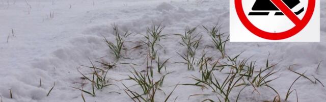 Miks ei tohi maasturi, ATV või lumesaaniga suvalises kohas teelt maha keerata?