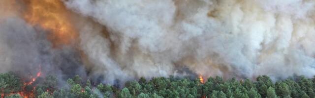 Prantsusmaal puhkes suur tulekahju Pariisi-lähedases Fontainebleau metsas