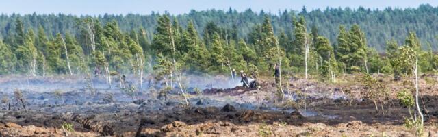 Kliimaministeerium lubab riigikohtu nõude täita uue seadusega